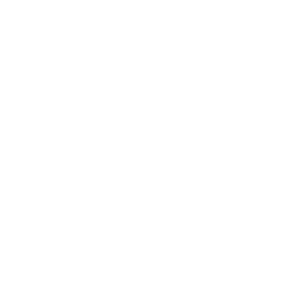 Icon for shop