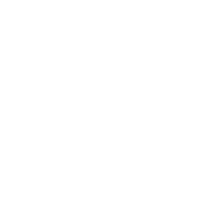 Icon for hospital